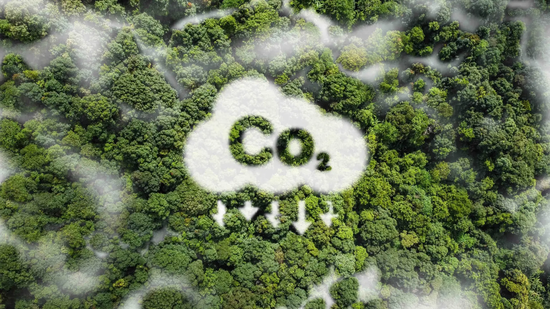 Creditos de Carbono y Reportes ESG: Como tu Proyecto Solar Genera Valor Estrategico