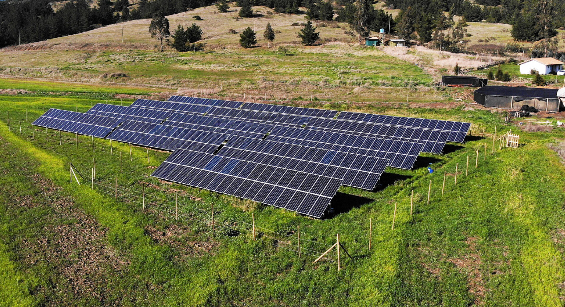 Energía Solar para la Agroindustria en Chile: Beneficios, Aplicaciones y Casos de Éxito
